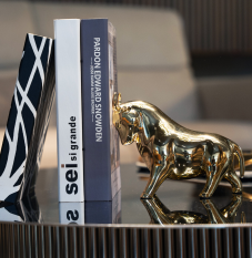 Vase to Vase: A Journey Through Timeless Designs